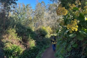 Entdecke das Paradise Valley - eine schnelle Flucht für alle