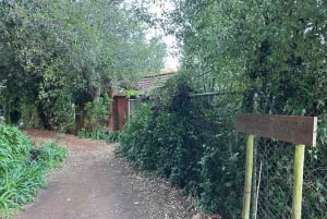 Entdecke das Paradise Valley - eine schnelle Flucht für alle