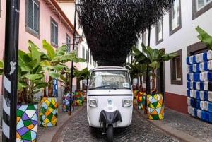 Tee Funchal - Câmara de Lobosin kalastajakylä Tuk Tuk -kierros