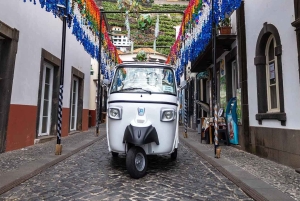 Do Funchal - Câmara de Lobos fiskeby Tuk Tuk-tur