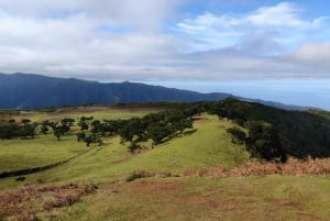 Hike in Fanal in a different way