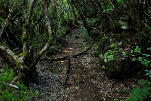 Hike in Rabaçal in a different way