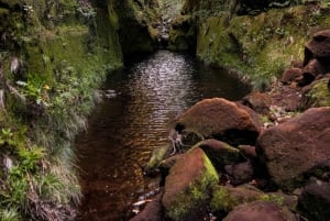 Hike in Rabaçal in a different way