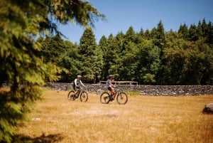 E-Bike Guided Tour - Belle Vue Mountain Biking