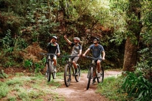 E-Bike Guided Tour - Belle Vue Mountain Biking