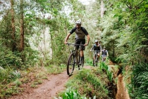 E-Bike Guided Tour - Belle Vue Mountain Biking