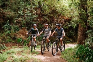 E-Bike Guided Tour - North Side Mountain Biking