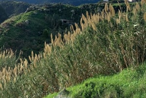 East Madeira panorama tour