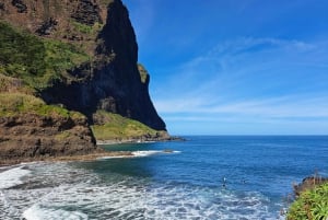 EAST MADEIRA:,Peaks, Forest walk,Thatched Roofs, Rum factory