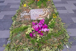 EAST MADEIRA:,Peaks, Forest walk,Thatched Roofs, Rum factory