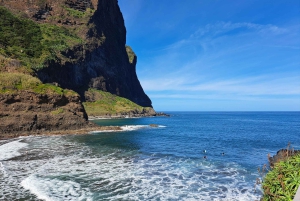 EAST MADEIRA:,Peaks, Forest walk,Thatched Roofs, Rum factory