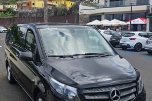 Ost-Madeira: Private Tour mit Ausblicken und Geschichte