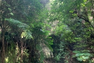 East Tour: Classic jeep tour to East Madeira - Santana