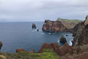 East Tour: Classic jeep tour to East Madeira - Santana