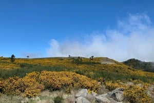 East Tour: Classic jeep tour to East Madeira - Santana