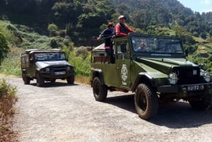 East Tour: Classic jeep tour to East Madeira - Santana