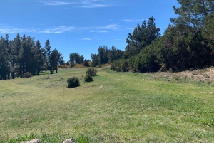 Østtur: Jeep-tur med åpent tak til Øst-Madeira – Santana