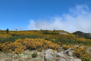 Østtur: Jeep-tur med åpent tak til Øst-Madeira – Santana