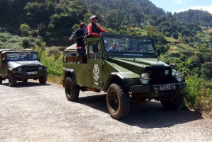 Østtur: Jeep-tur med åpent tak til Øst-Madeira – Santana