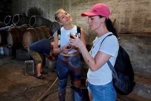 Østtur: Jeep-tur med åpent tak til Øst-Madeira – Santana