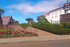Eastern Madeira: Full-Day Tour with Rum Tasting