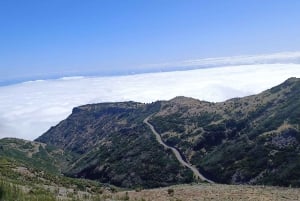 Eastern Madeira: Full-Day Tour with Rum Tasting