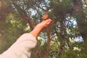 Eastern Madeira: Full-Day Tour with Rum Tasting