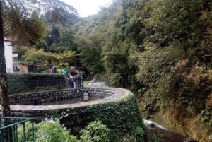 Eastern Madeira: Full-Day Tour with Rum Tasting