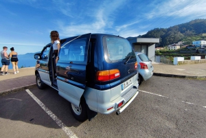 Eastern Mountains Van Guided Tour (From Funchal)