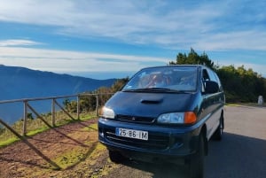 Eastern Mountains Van Guided Tour (From Funchal)