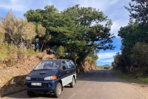 Eastern Mountains Van Guided Tour (From Funchal)