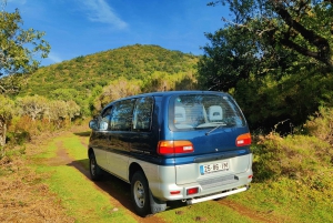 Eastern Mountains Van Guided Tour (From Funchal)