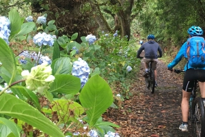 PASSEIO DE BICICLETA FÁCIL EM LEVADA