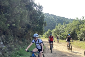 PASSEIO DE BICICLETA FÁCIL EM LEVADA