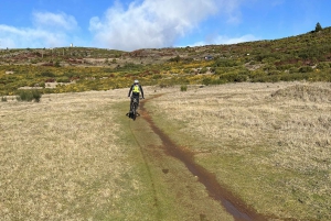PASSEIO DE BICICLETA FÁCIL EM LEVADA