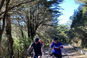 PASSEIO DE BICICLETA FÁCIL EM LEVADA