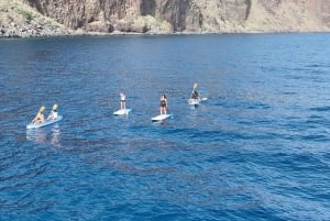 Funchal: Stand-up Paddleboard & Kayak Rental