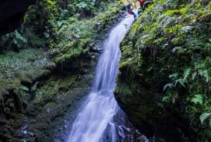 EPIC Madeira Canyoning Level Two