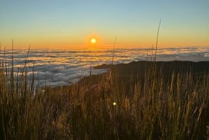 Epic Sunrise: Quad Bike Off-Road Adventure