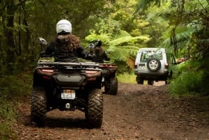 Epic Sunrise: Quad Bike Off-Road Adventure