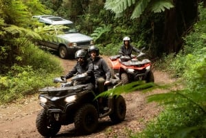 Epic Sunrise: Quad Bike Off-Road Adventure