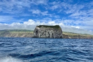 Faial Island: Unique boat tour to the Capelinhos volcano