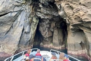 Faial Island: Unique boat tour to the Capelinhos volcano