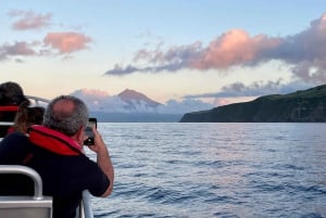 Faial Island: Unique boat tour to the Capelinhos volcano