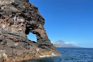 Faial Island: Unique boat tour to the Capelinhos volcano