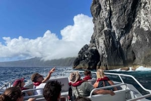 Faial Island: Unique boat tour to the Capelinhos volcano