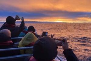 Faial Island: Unique boat tour to the Capelinhos volcano