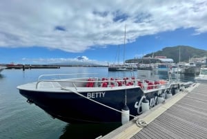 Faial Island: Unique boat tour to the Capelinhos volcano