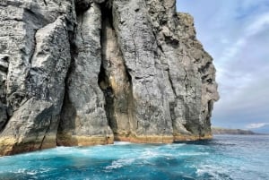 Faial Island: Unique boat tour to the Capelinhos volcano