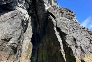 Faial Island: Unique boat tour to the Capelinhos volcano